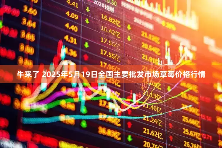 牛来了 2025年5月19日全国主要批发市场草莓价格行情