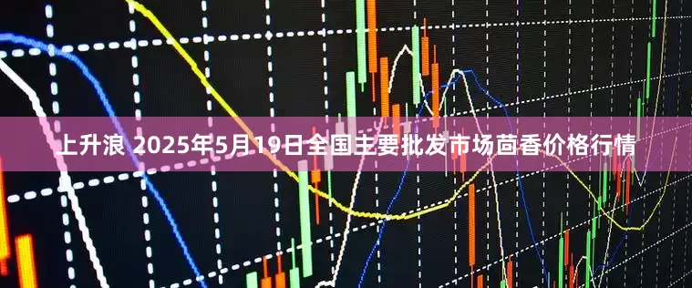 上升浪 2025年5月19日全国主要批发市场茴香价格行情