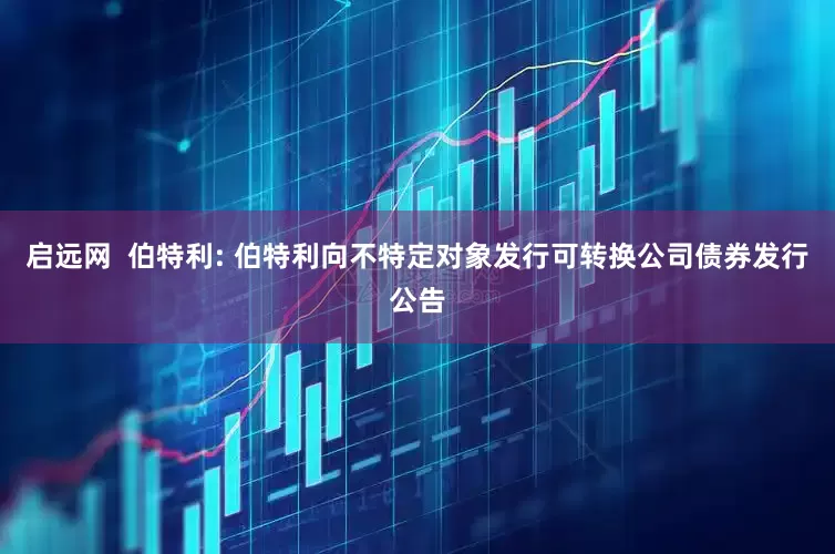 启远网  伯特利: 伯特利向不特定对象发行可转换公司债券发行公告